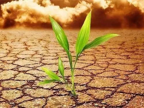 土壤肥料養(yǎng)分檢測儀 土壤肥料養(yǎng)分檢測儀